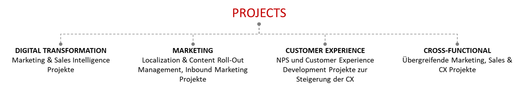PDC - Projektmanagement - Projects