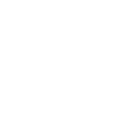 icon_bild_online-meeting